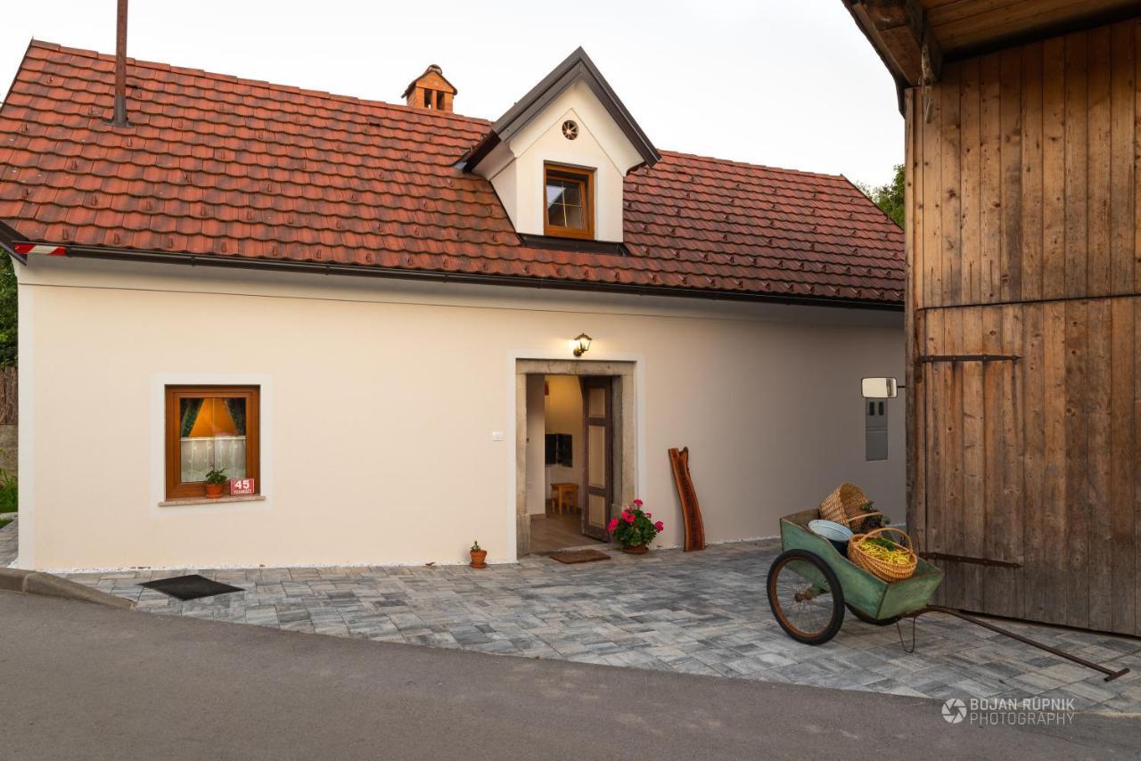 Cherry House - Cosy House - Ideal For Bear Watching, In The Neighborhood Of The Medieval Sneznik Castle Stari Trg pri Lozu Exterior foto